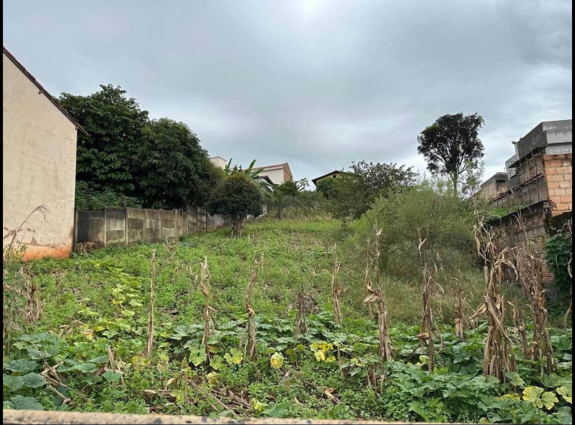 Lote Rua Vitória Régia – Jardim das Flores